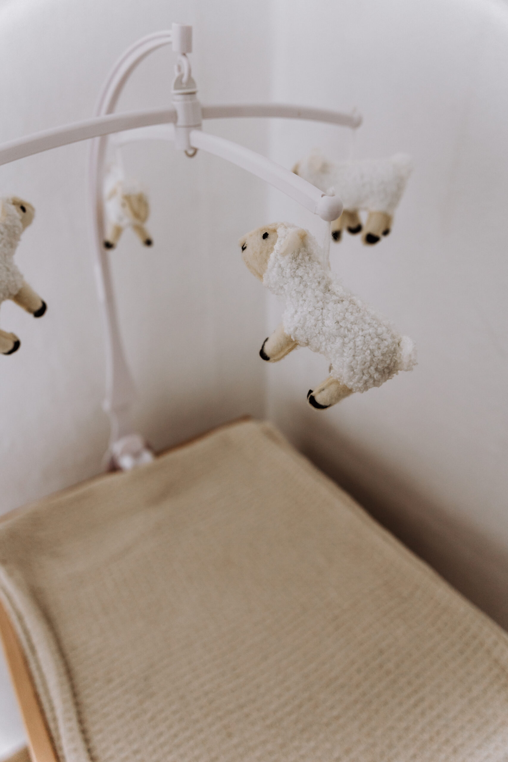 KatyaMarie Babyfotografin